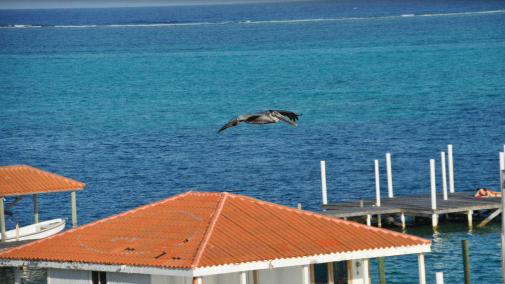 Sands Villas San Pedro  Luaran gambar